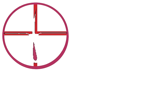 Cochin Hair Transplant