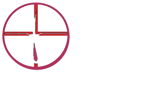 Cochin Hair Transplant